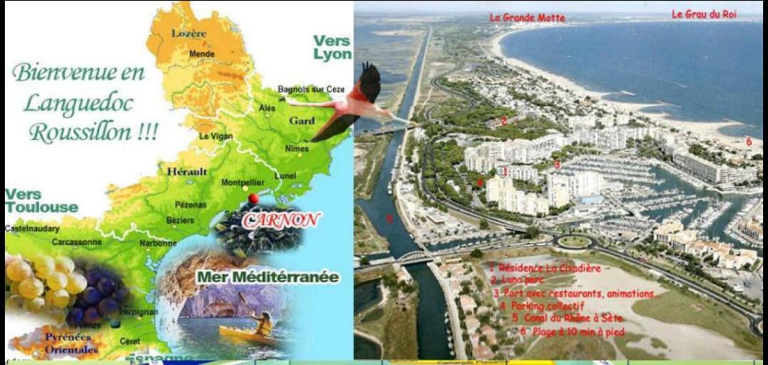 VILLA HÉLÈNE-SUITE Junior MONTPELLIER SUD-PISCINE PRIVÉ-À 2MIN DES PLAGES Pérols Exterior foto