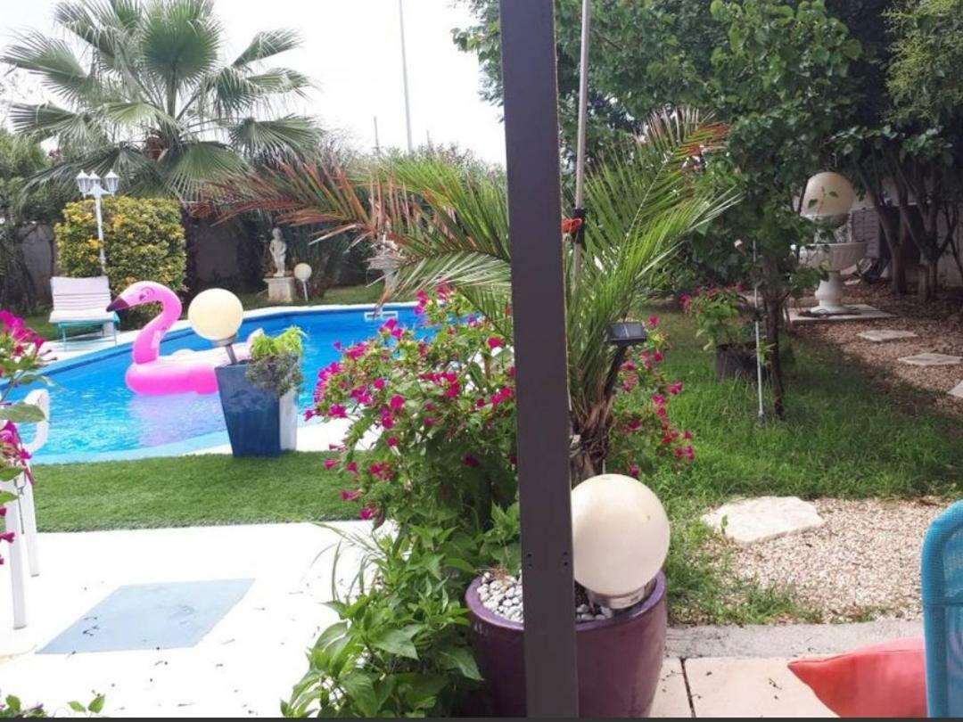 VILLA HÉLÈNE-SUITE Junior MONTPELLIER SUD-PISCINE PRIVÉ-À 2MIN DES PLAGES Pérols Habitación foto